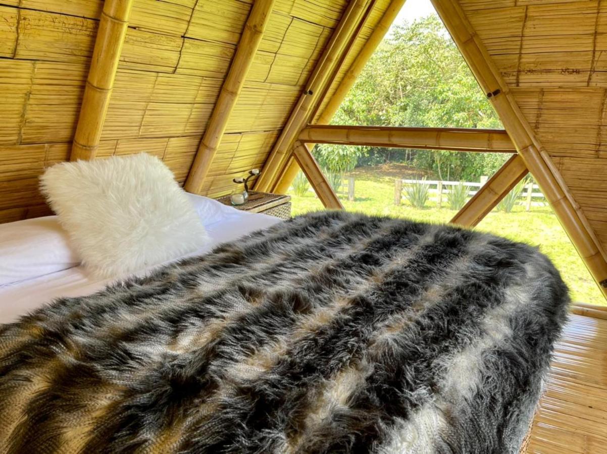 Glamping La Herradura Santa Rosa de Cabal Zewnętrze zdjęcie