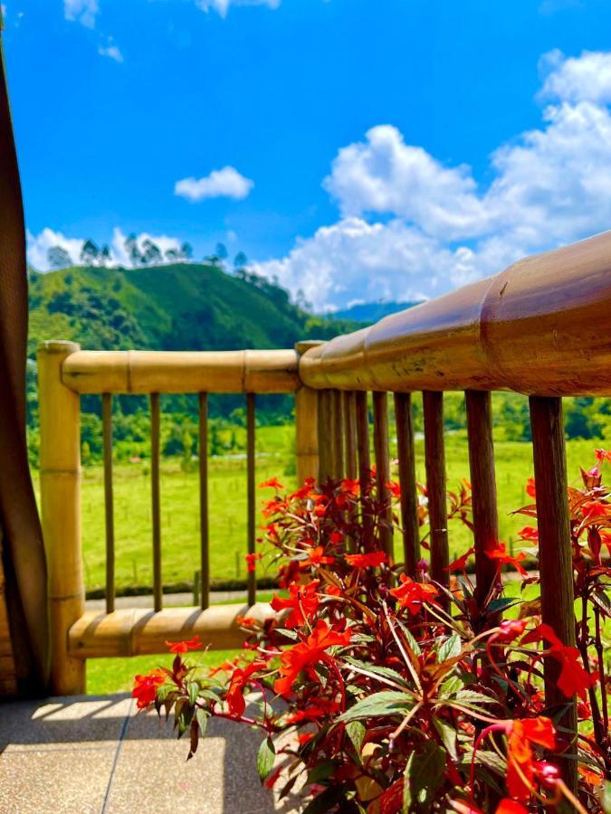 Glamping La Herradura Santa Rosa de Cabal Zewnętrze zdjęcie